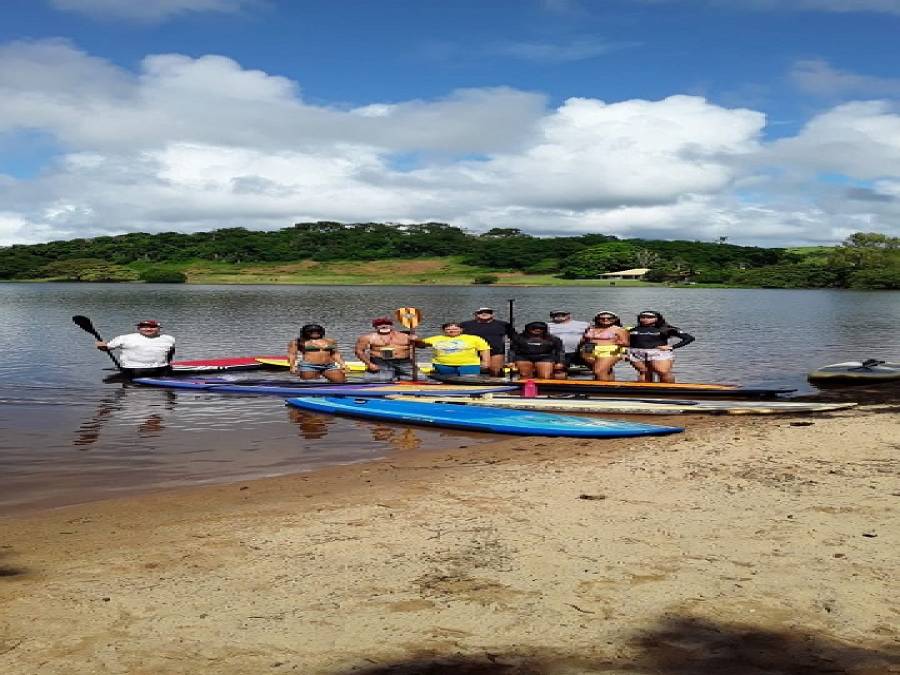 Arara Azul