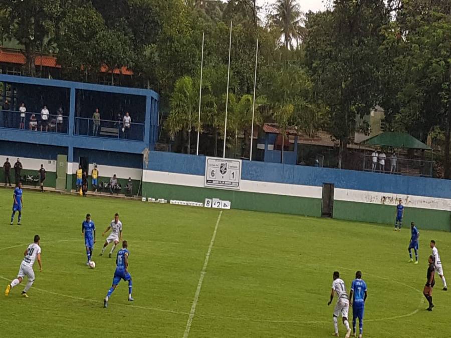 Arara Azul