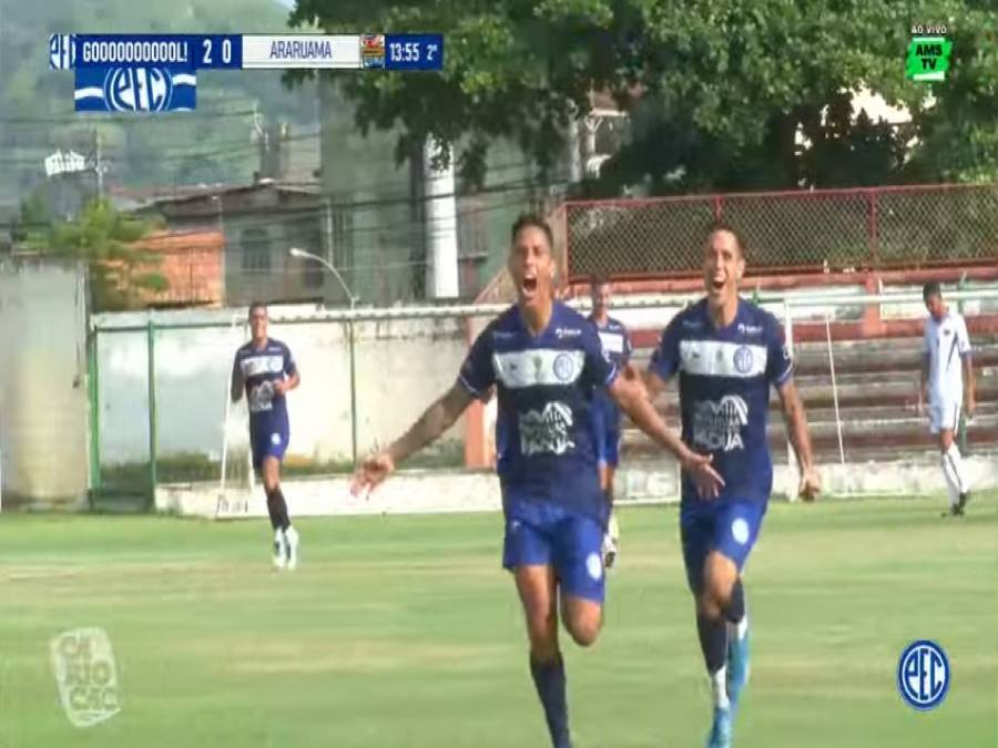 Arara Azul