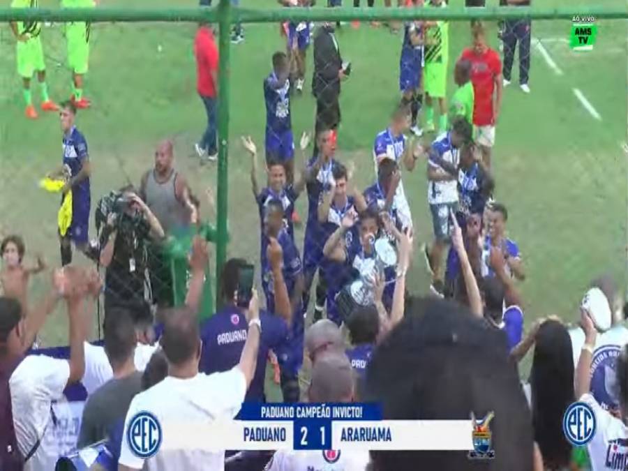 Arara Azul