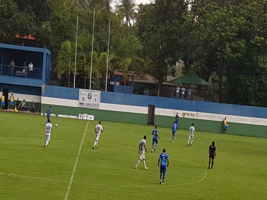 Arara Azul