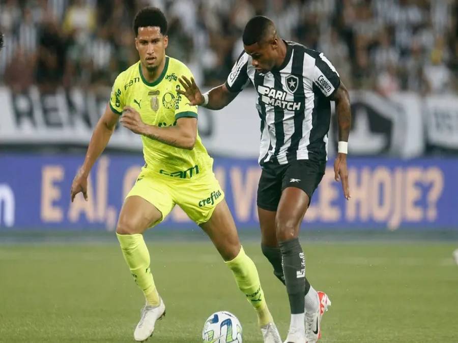 Palmeiras vence Botafogo em virada histórica no Nilton Santos